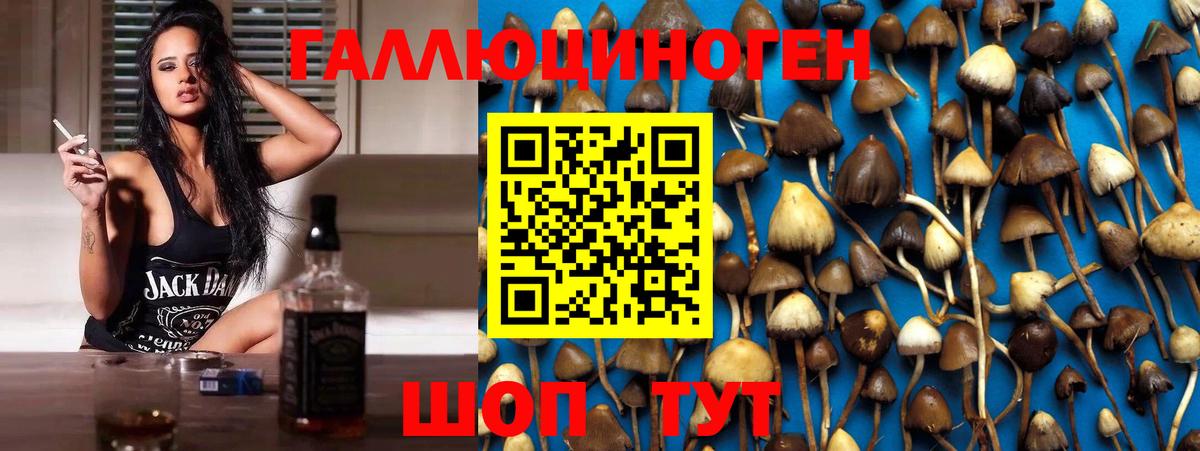 Галлюциногенные грибы Psilocybine cubensis  Вход с VPN  Псилоцибиновые грибы Magic Shrooms  как найти закладки  Медногорск 