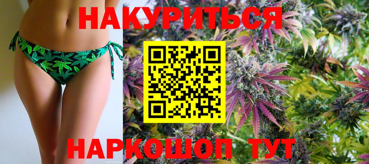 Бошки марихуана SATIVA & INDICA  Бошки марихуана семена  Шишки марихуана план  Медногорск  Вход с VPN 